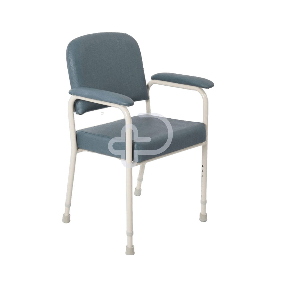 Aspire Low Back Classic Day Chair Slate Chairs