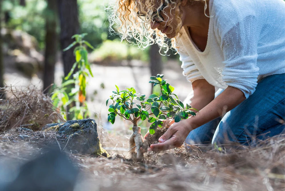 What You Need To Know About Companies & Their Ethical Sourcing Programs