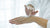 hands using antiseptic cream