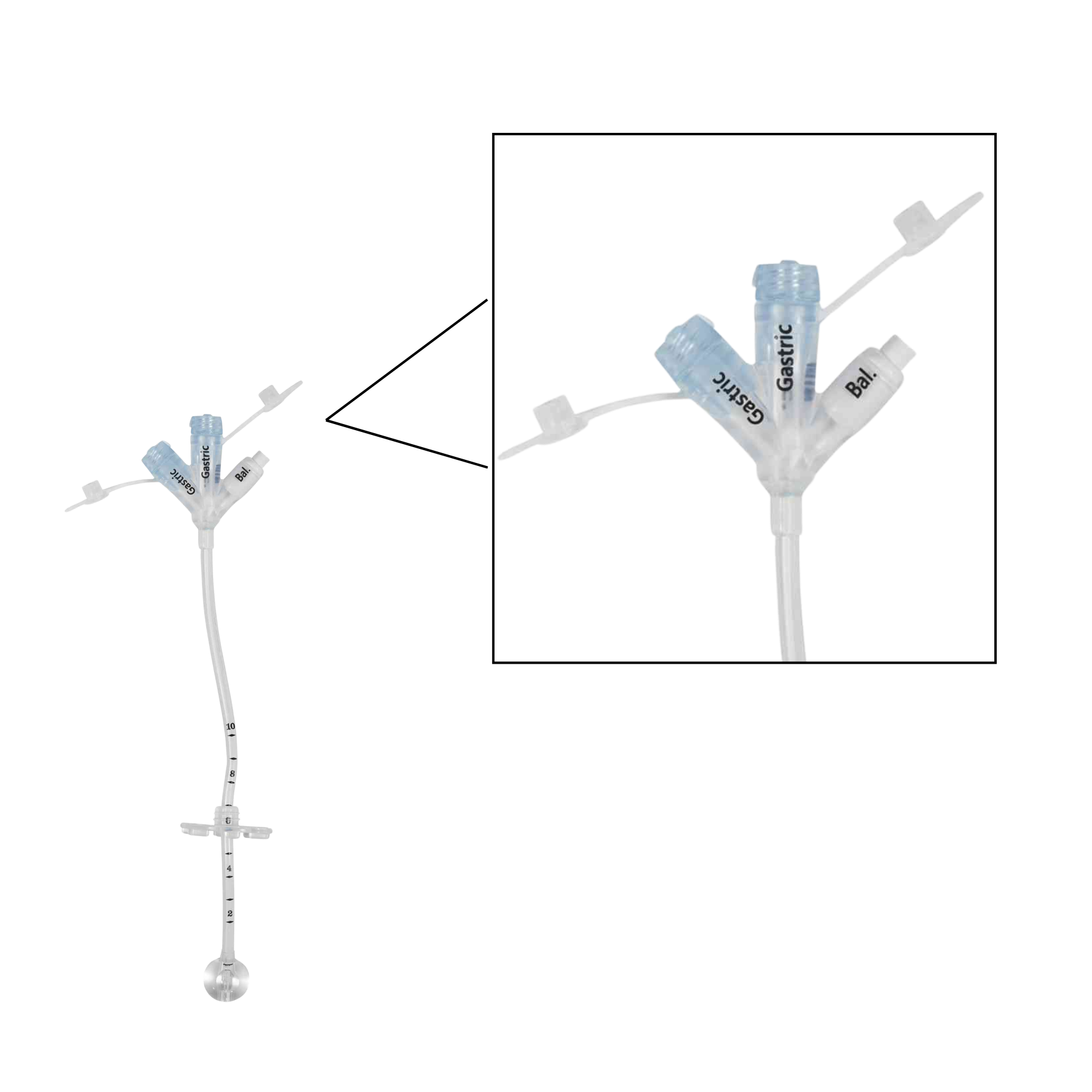 A medical gastrostomy tube with dual blue-labeled ports labeled Gastric and BL, shown alongside a magnified inset of the connector area on a white background.