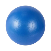 Physio/exercise/rehab therapeutic exercise ball, 75 cm, designed for stability, strengthening, and rehabilitation exercises.