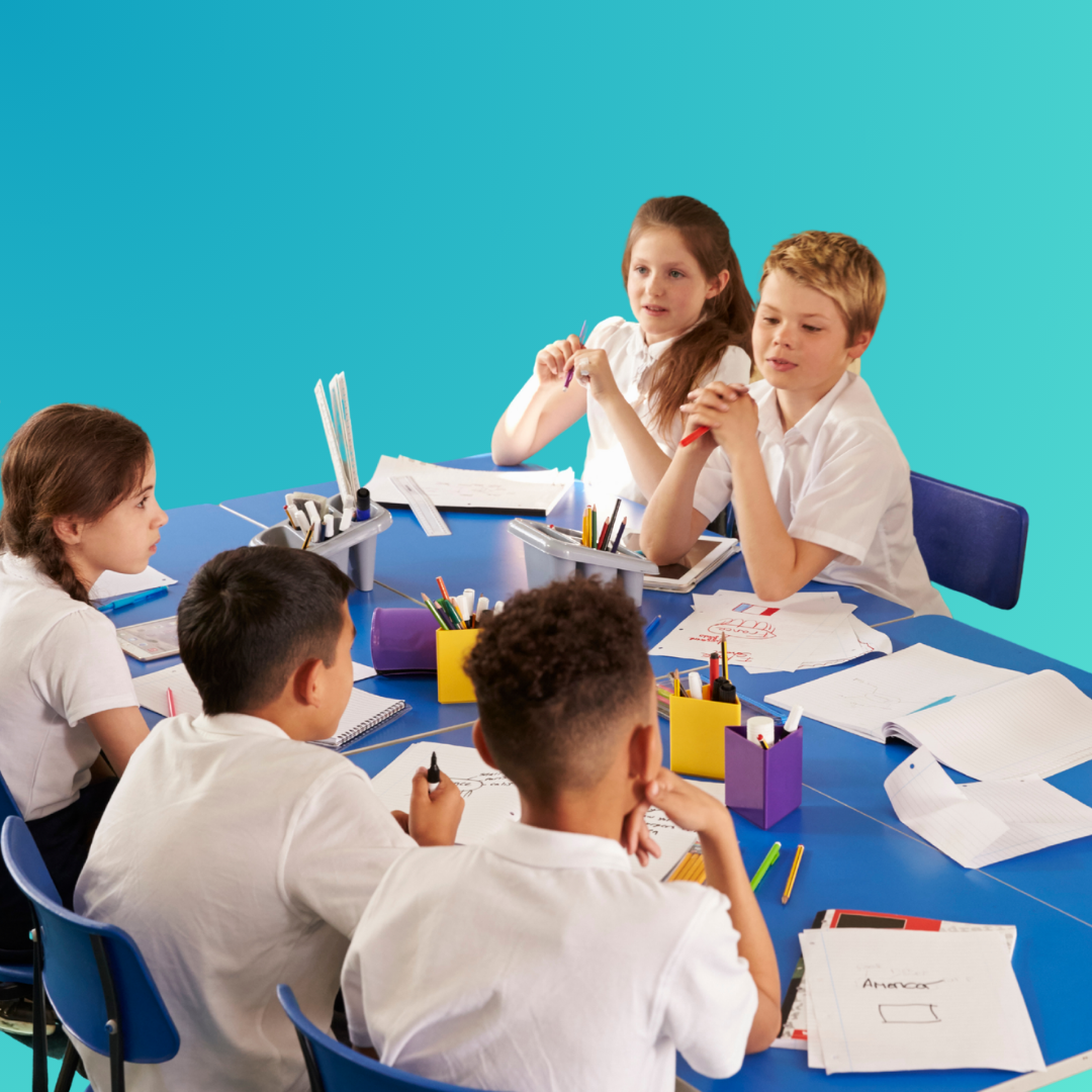 <strong>Schools & Educational Institutions</strong>