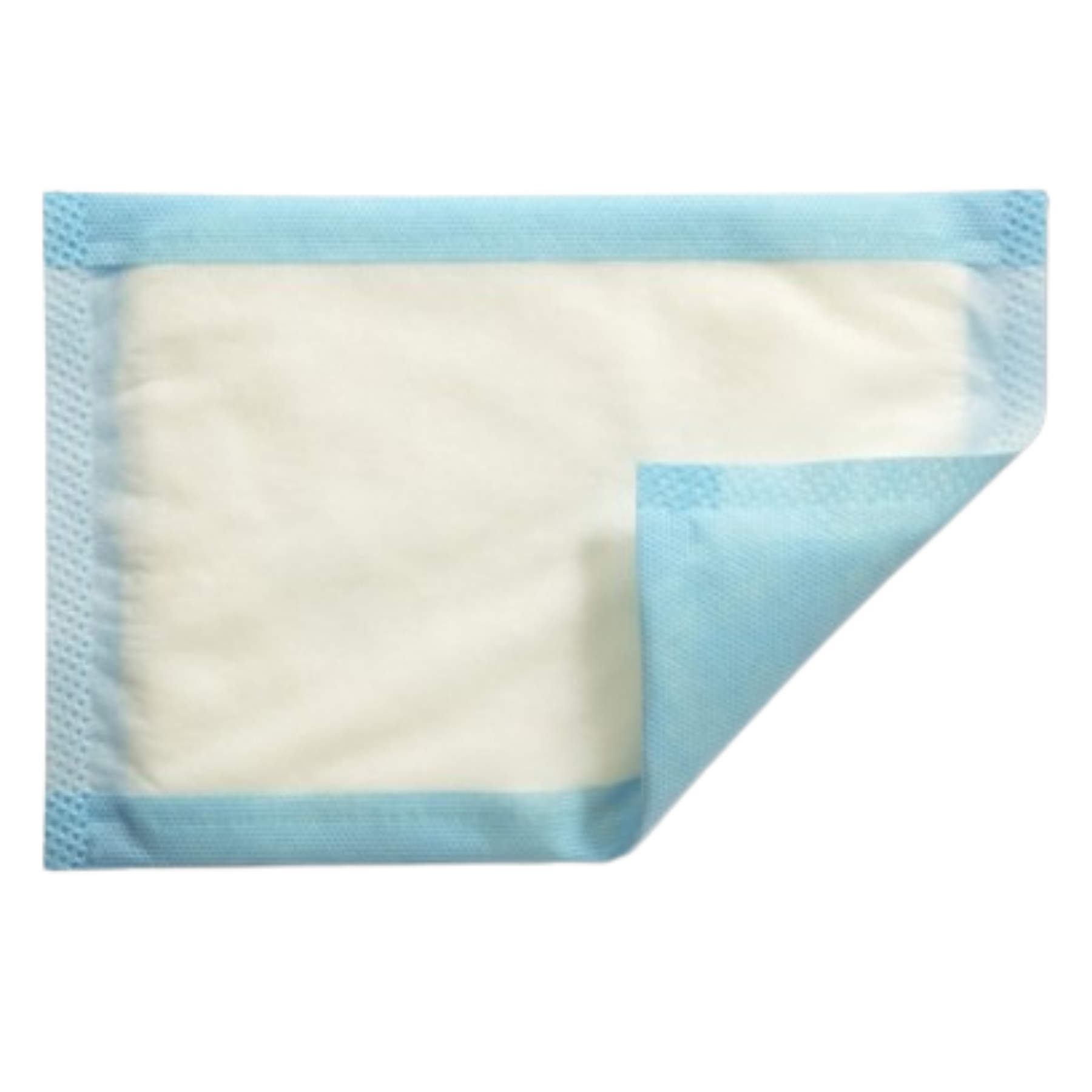 Molnlycke Mesorb absorbent dressing showing white absorbent pad with blue border and one corner folded to reveal underside.
